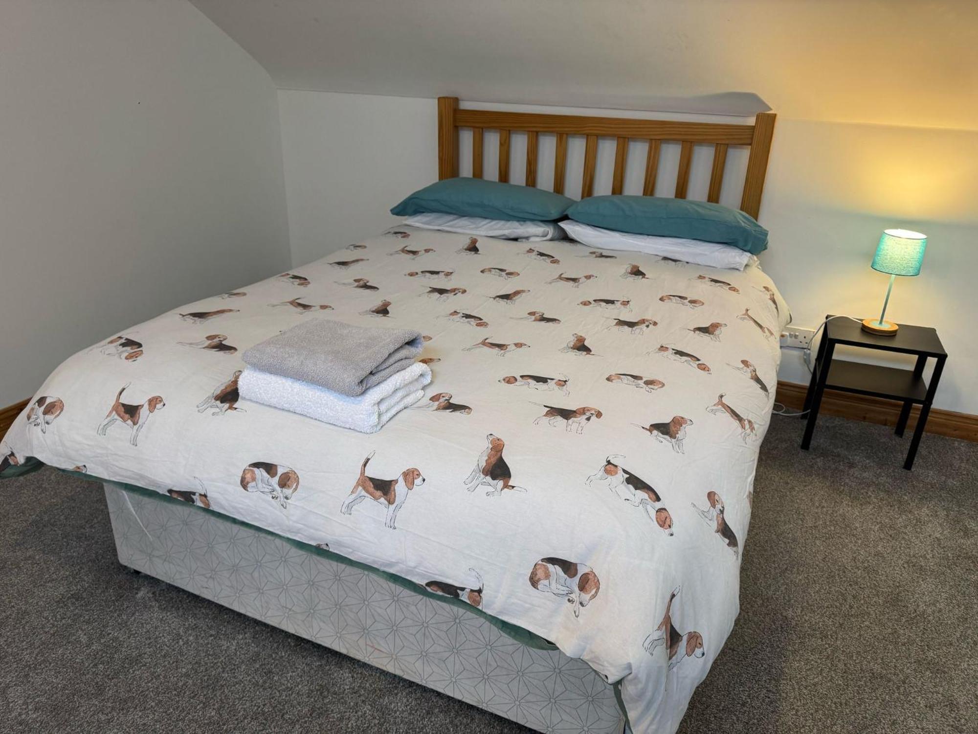 Lovely 2 Bedroom House Close To City Centre Белфаст Екстериор снимка